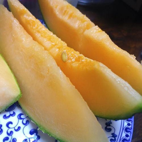 在甘肃吃瓜,探寻丝绸之路上的甜蜜之旅