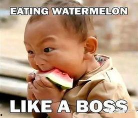 吃瓜肥崽,揭秘娱乐圈背后的那些事儿